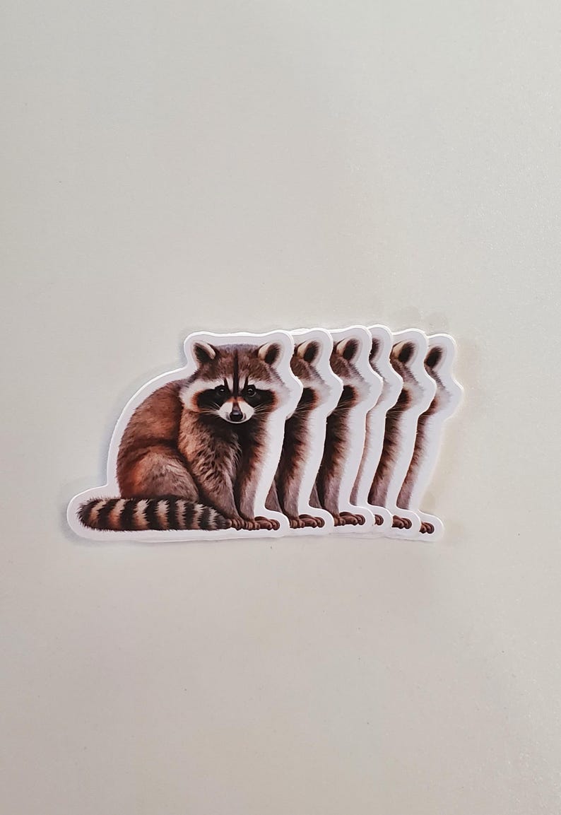 Raccoon Vinyl Sticker