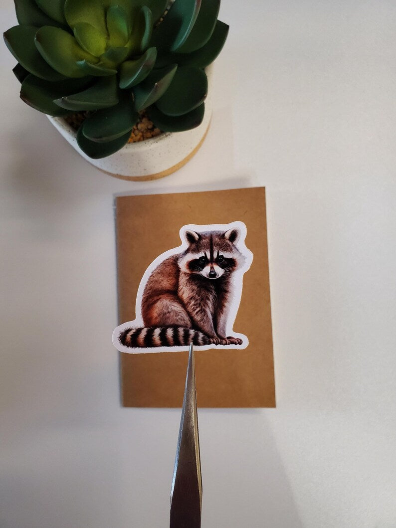 Raccoon Vinyl Sticker