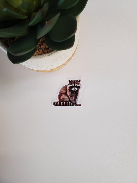 Raccoon Vinyl Sticker
