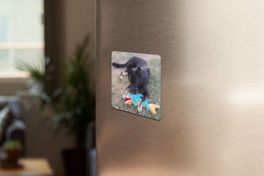 Custom Photo Aluminum Magnet Collage