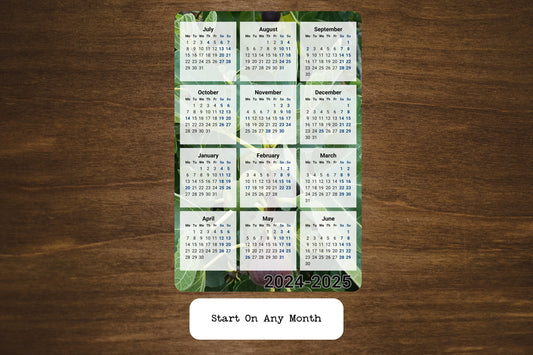 Fig Tree Photo Calendar Magnet 4" x 6"