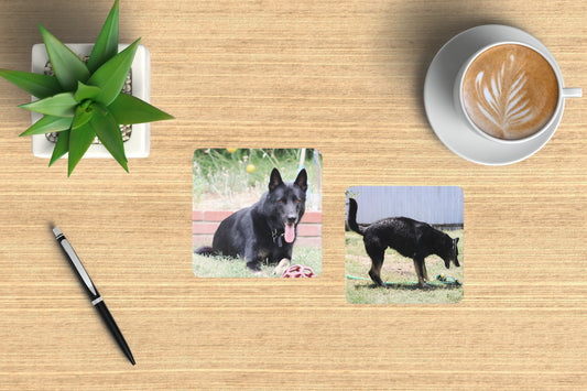 Custom Photo Drink Coasters