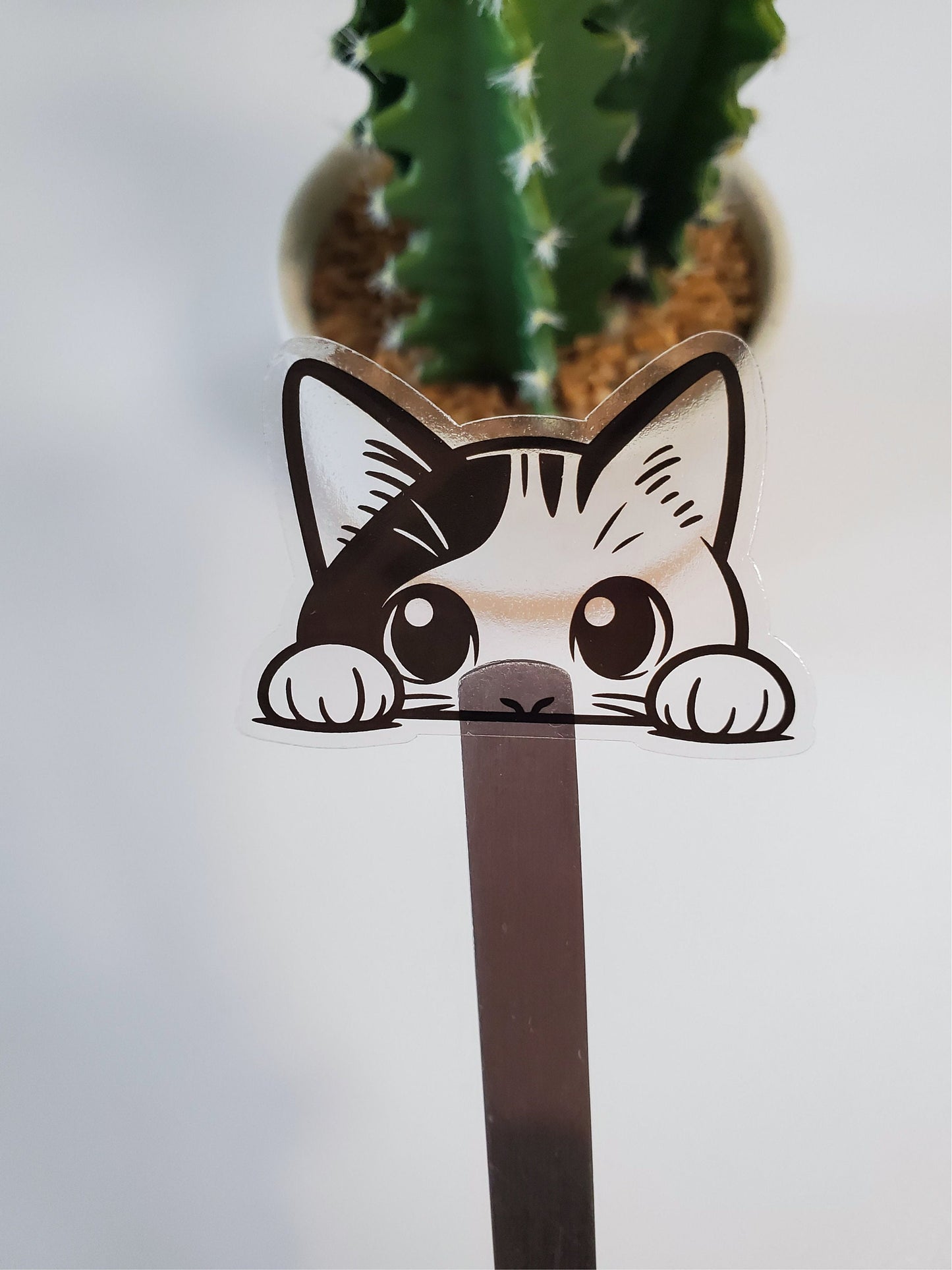 Cat Clear Vinyl Sticker