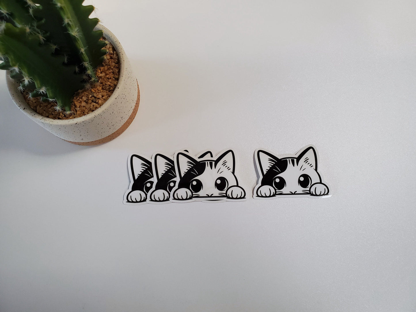 Cat Clear Vinyl Sticker