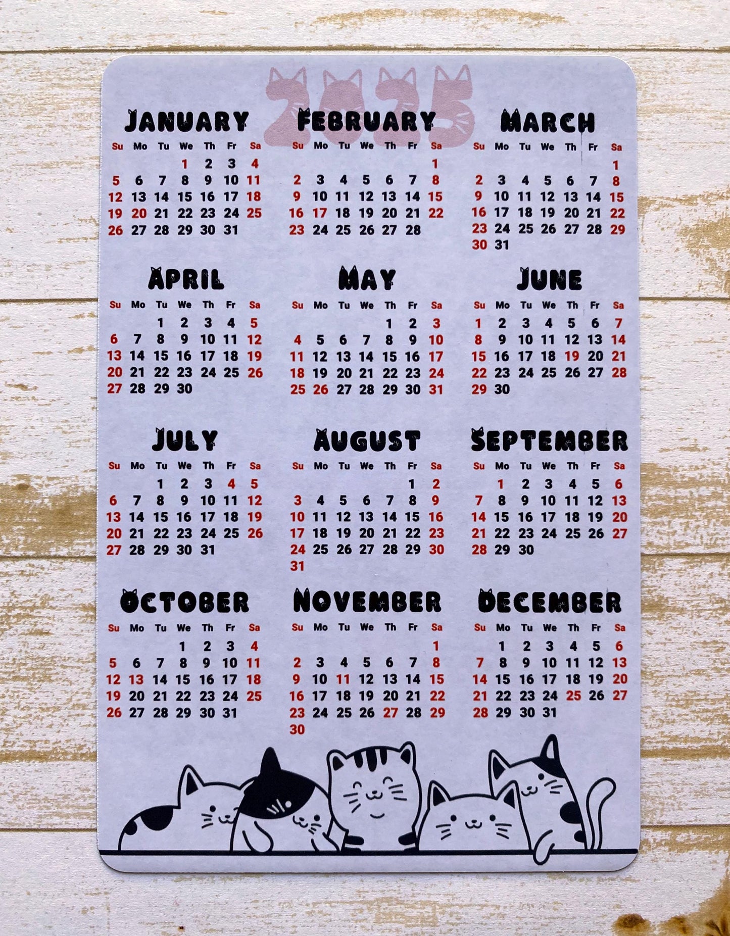 Cat Lover Calendar Magnet 4" x 6" Start On Any Month | 2025, 2026, or 2027 Year at a Glance | Magnet Calendar for Fridge | Glossy Finish