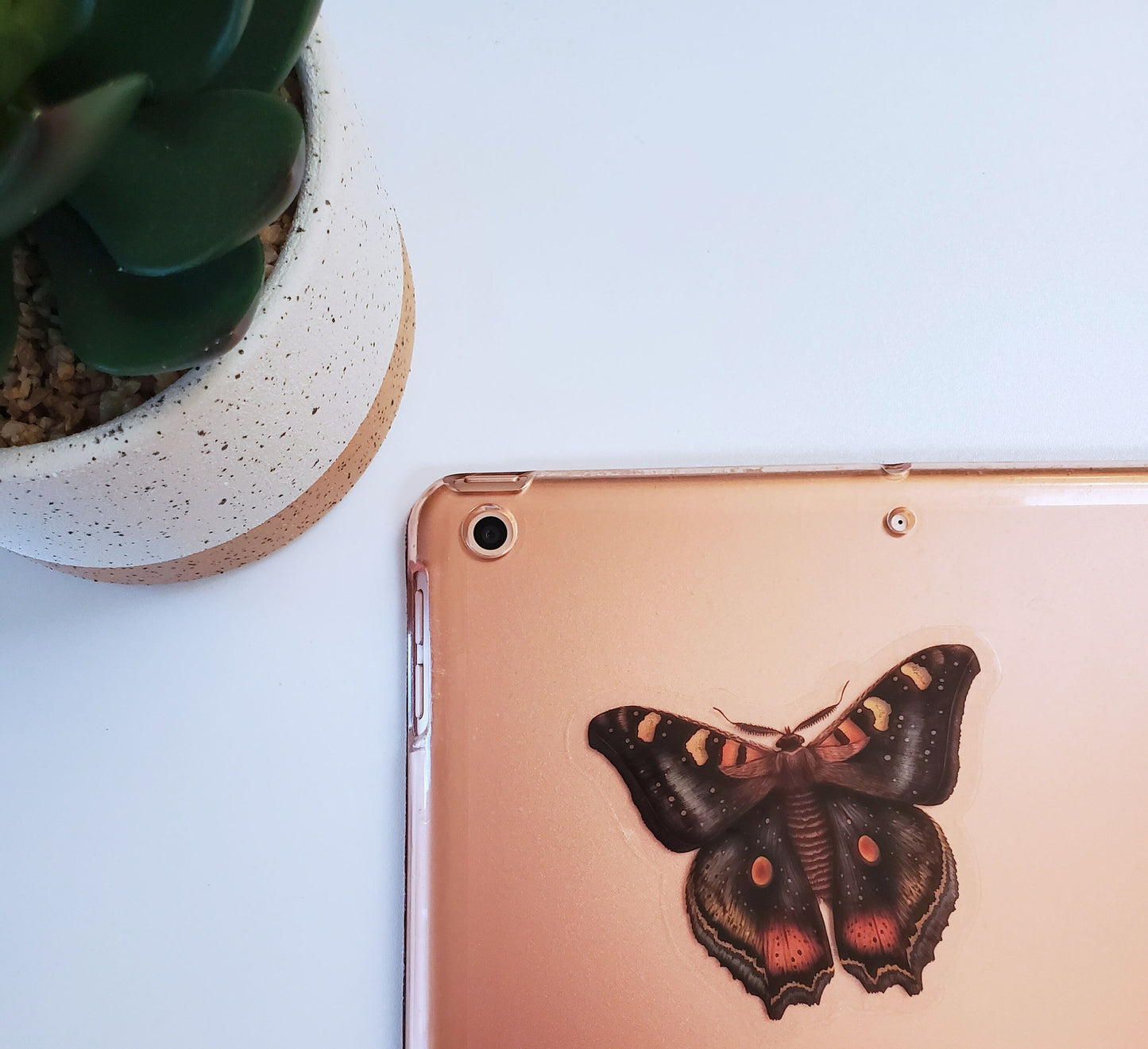 Dark Moth Sticker Clear Vinyl