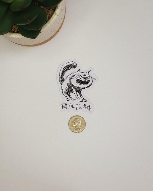 Tell Me I'm Pretty Vinyl Sticker
