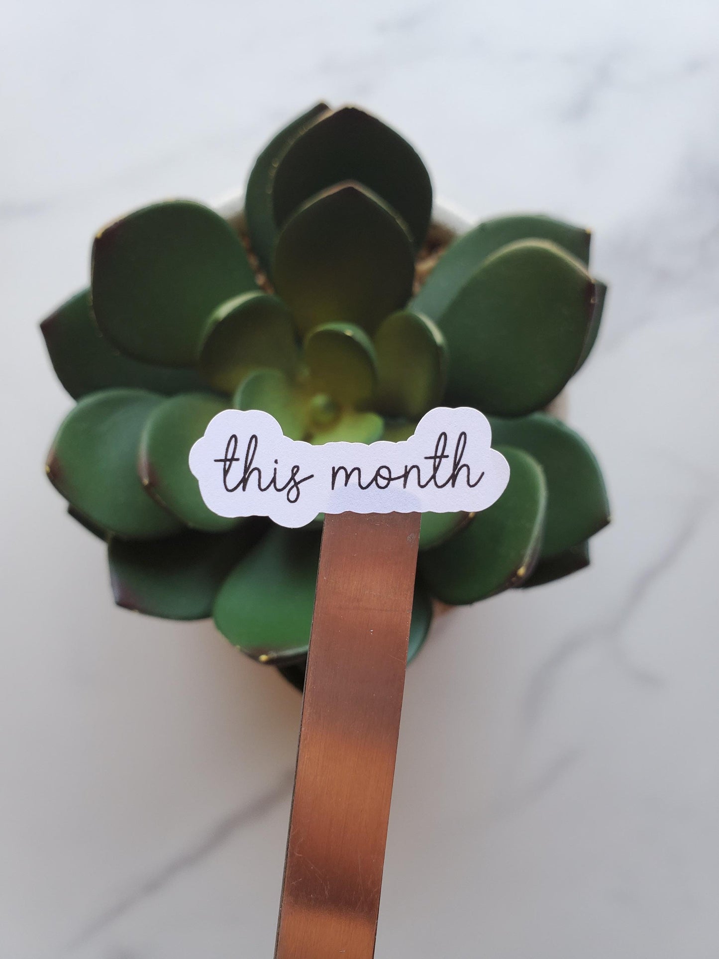 This Month Text Script Stickers