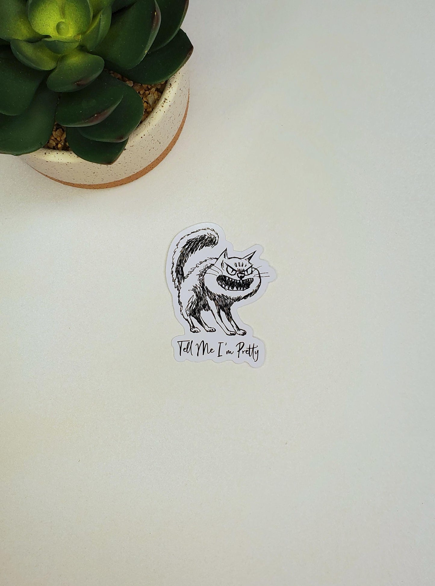 Tell Me I'm Pretty Vinyl Sticker