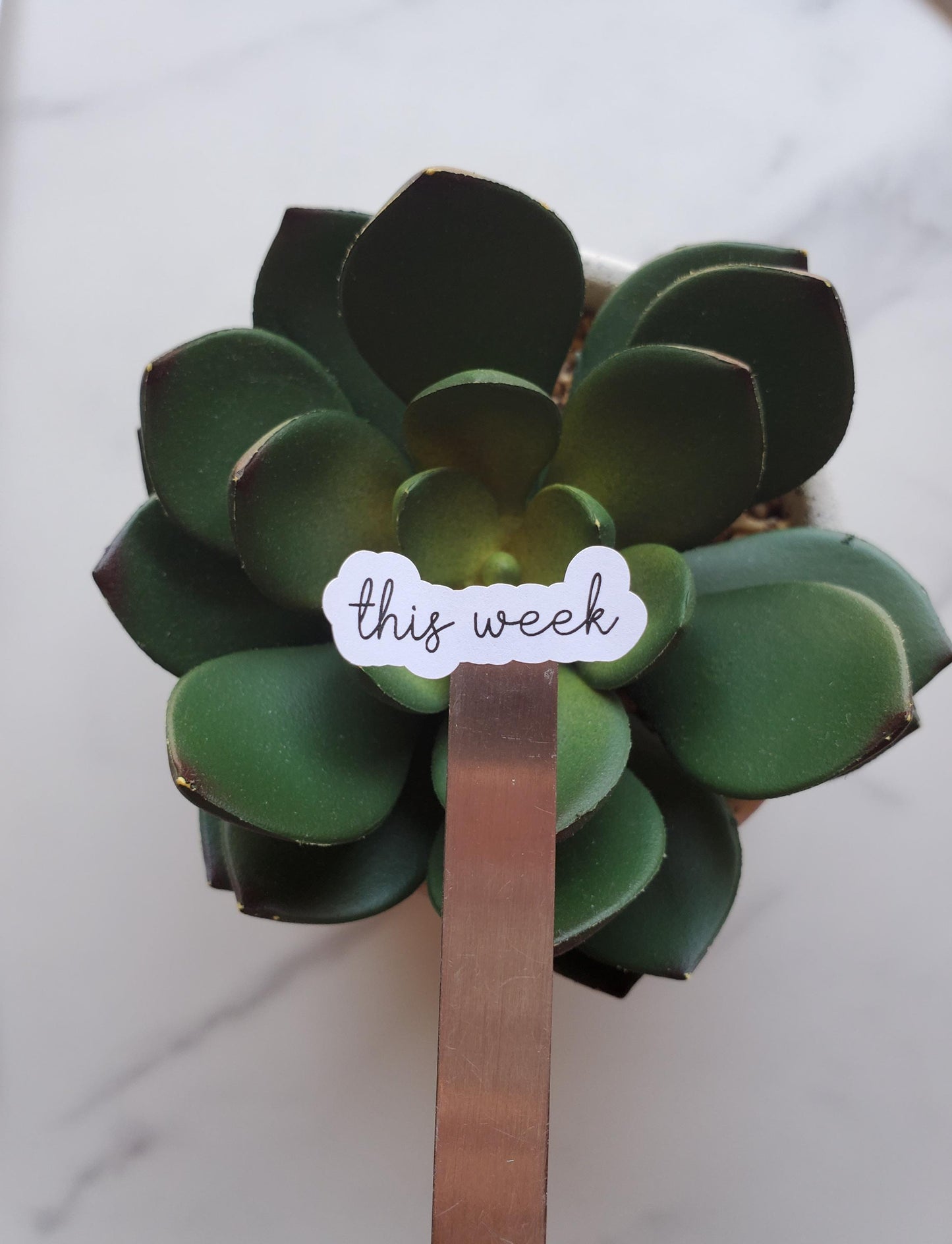 This Week Text Script Stickers