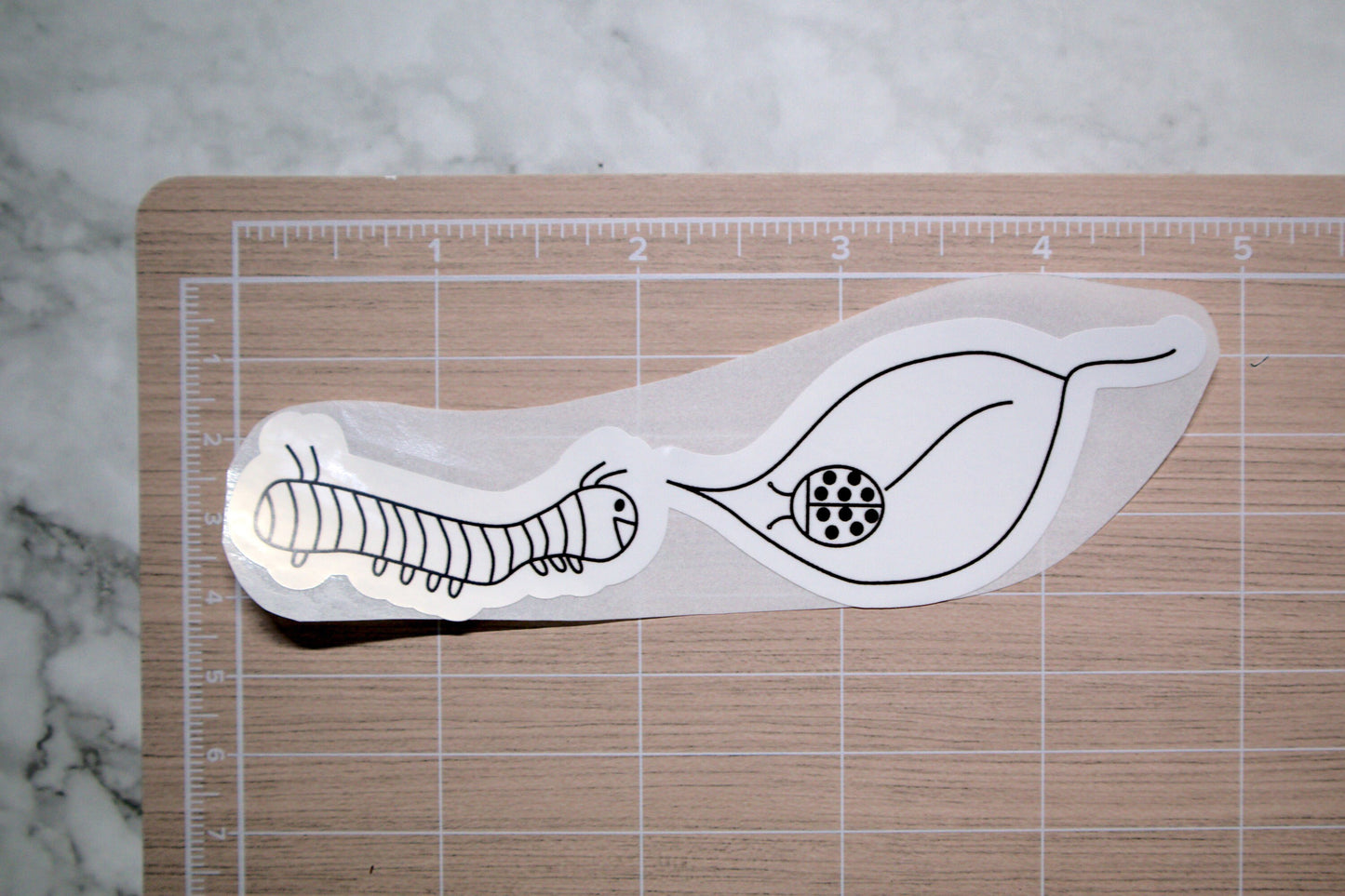 Caterpillar and Ladybug Sticker | Die Cut, Glossy, Vinyl, Minimalist | Laptop Stickers