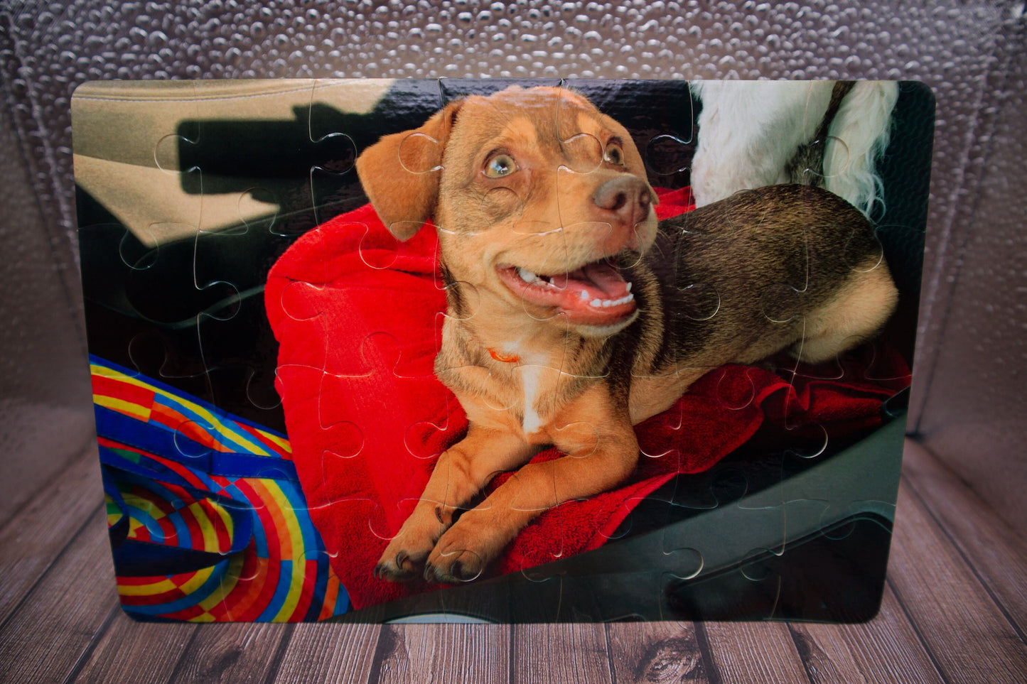 Small Custom Photo Puzzle | Personalized Jigsaw Cardboard Puzzle | 48 or 28 Pieces