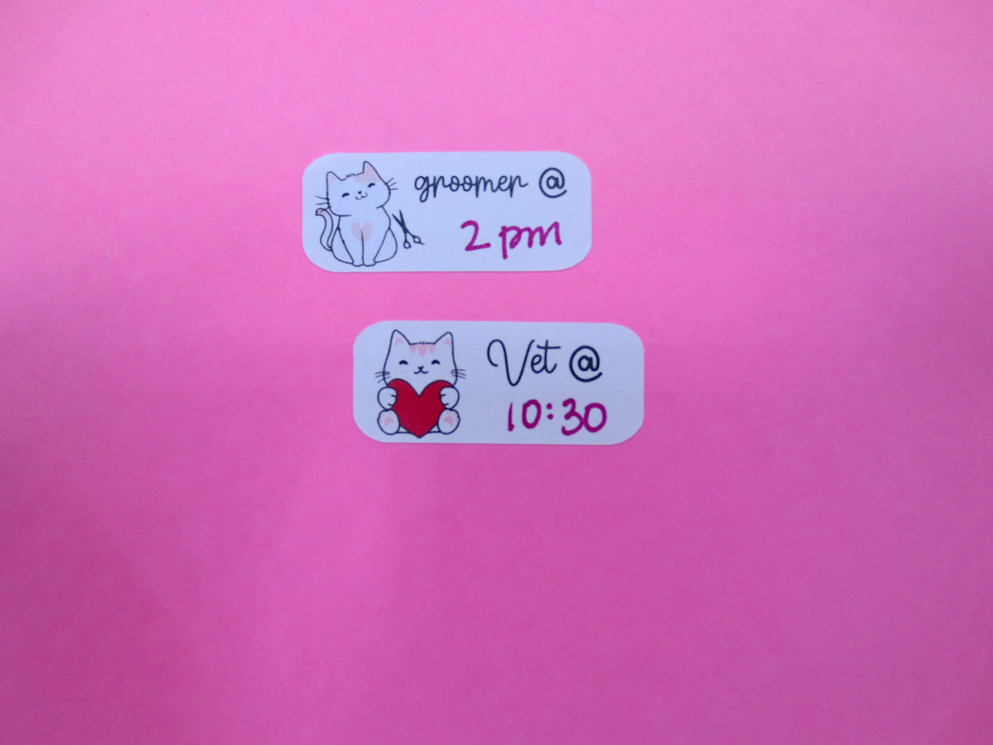 Vet Cat Appointment Stickers, Groomer Cat Appointment Stickers | Reminder Planner Sticker Sheet, Kiss Cut, Matte Finish