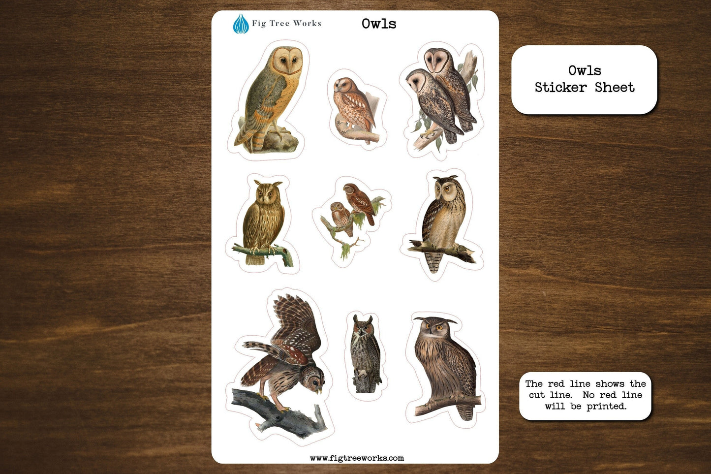 Owl Sticker Sheet