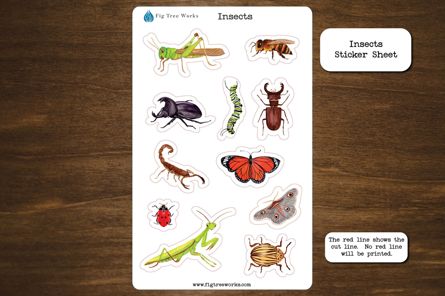 Insects Sticker Sheet