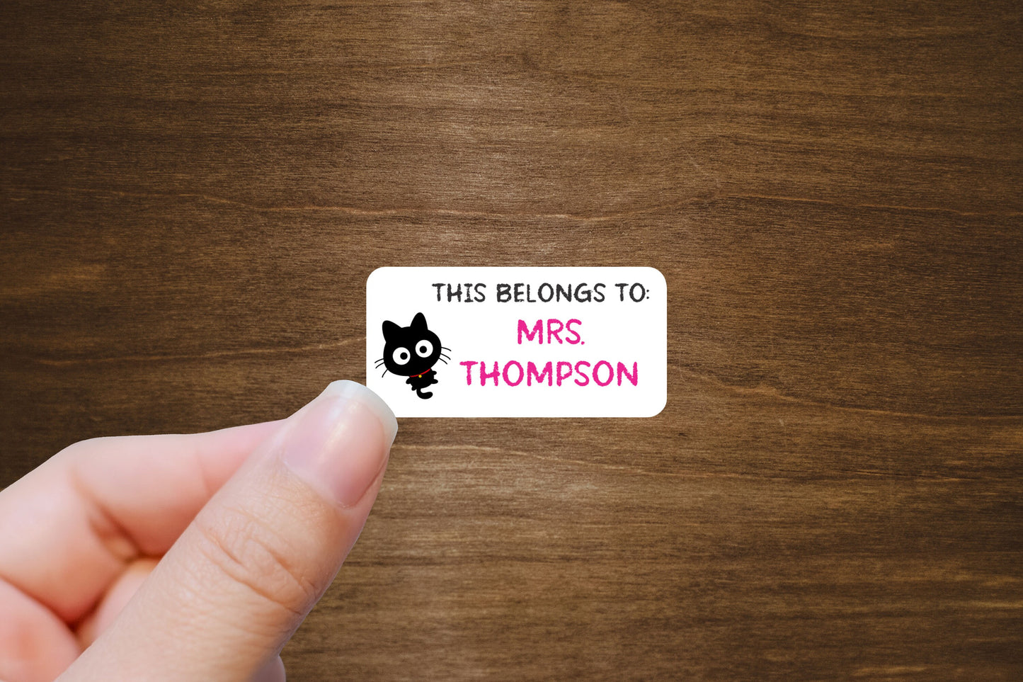 Teacher Labels with Cats | 2" x 1" Stickers | Personalized Stickers | Custom Labels On A Roll