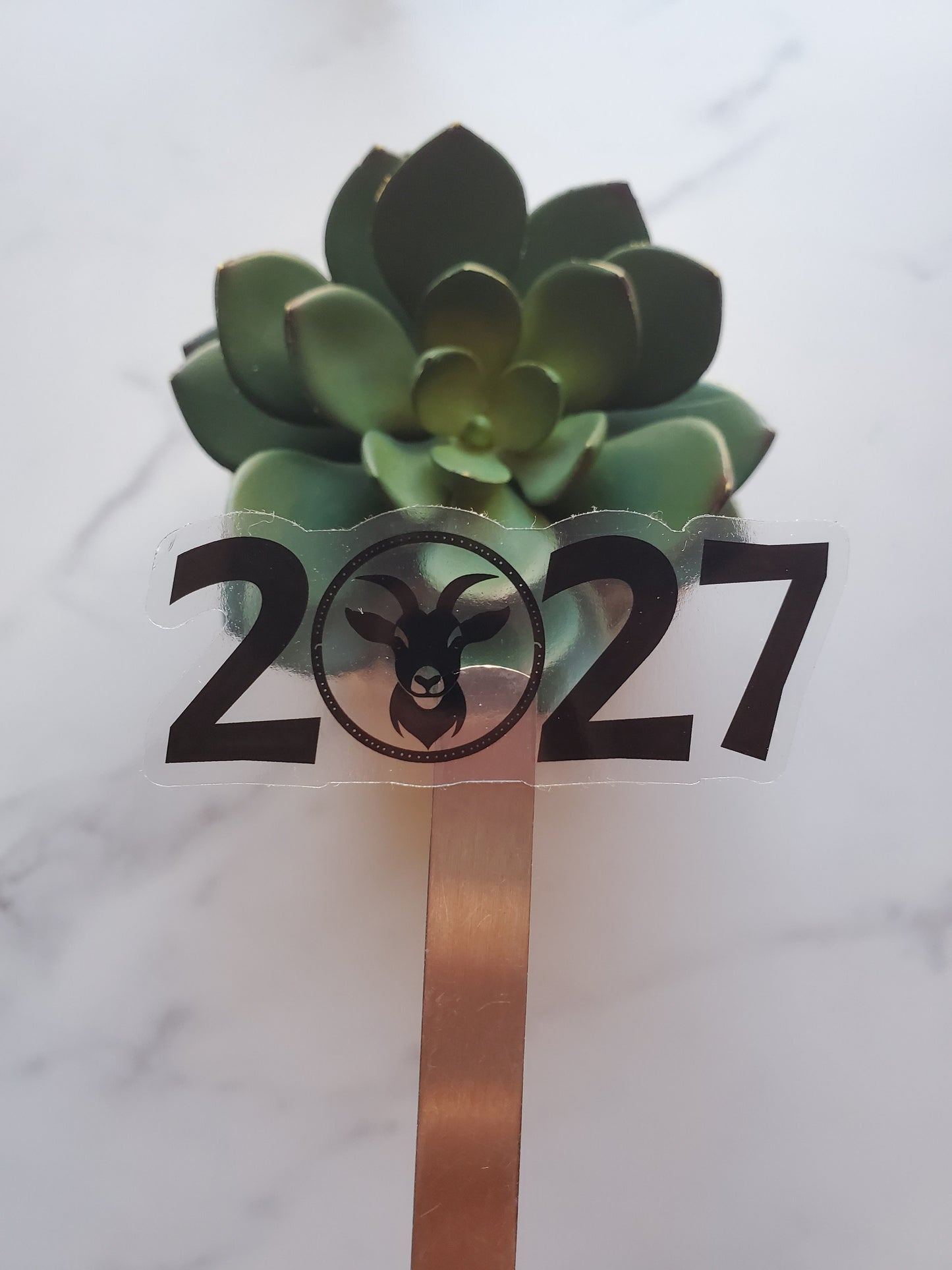 2027 Year of the Goat Clear Vinyl Sticker Style A