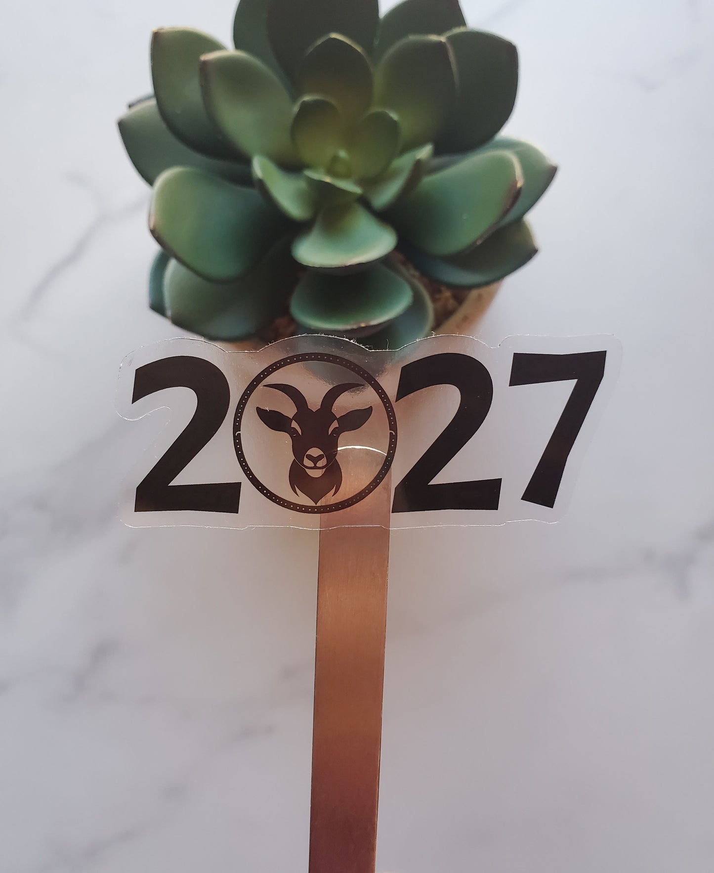 2027 Year of the Goat Clear Vinyl Sticker Style A