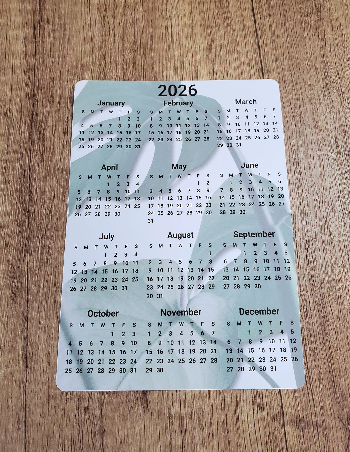 Year At A Glance Calendar Sticker - Monstera Design