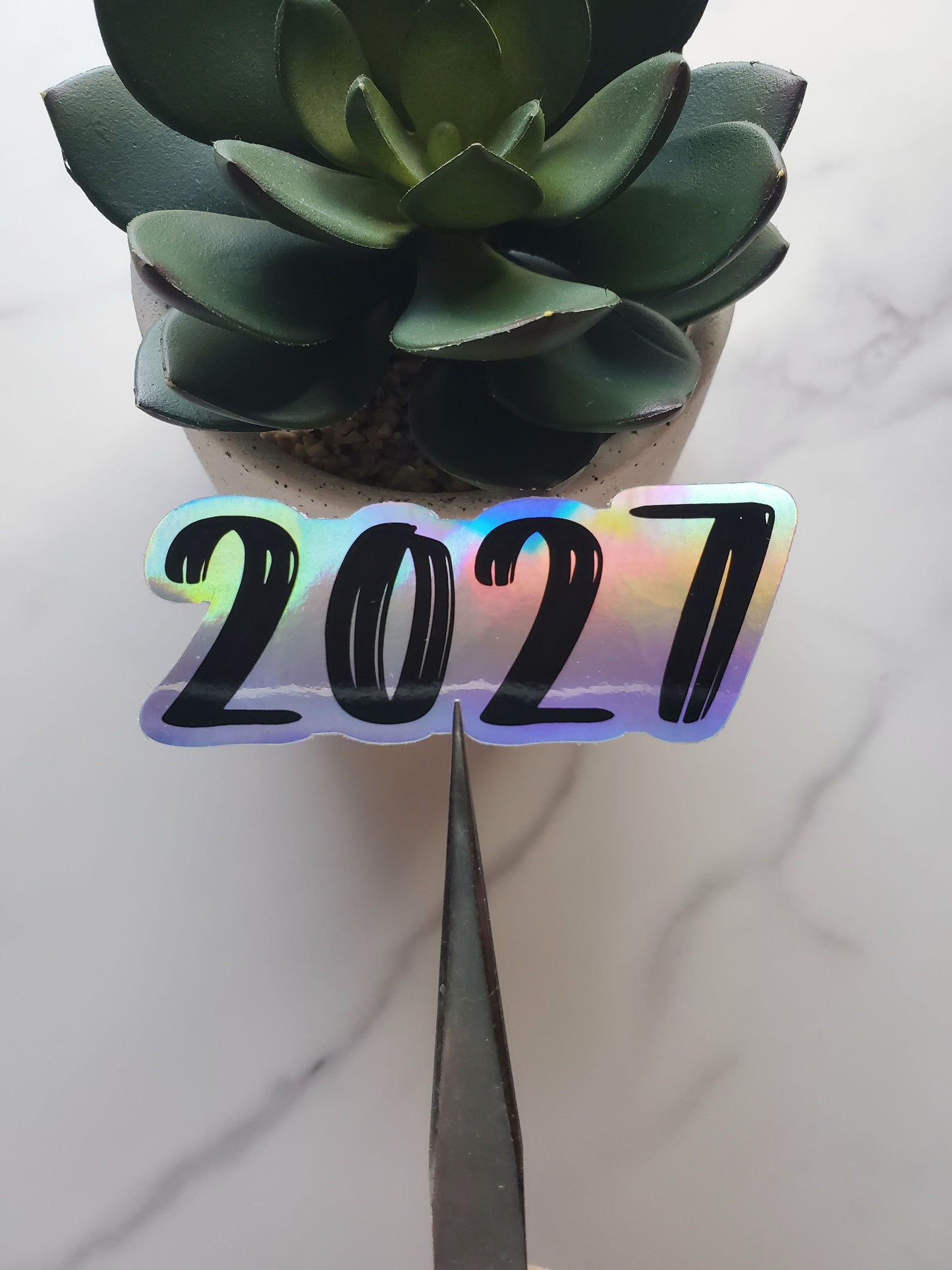 Year Holographic Vinyl Sticker