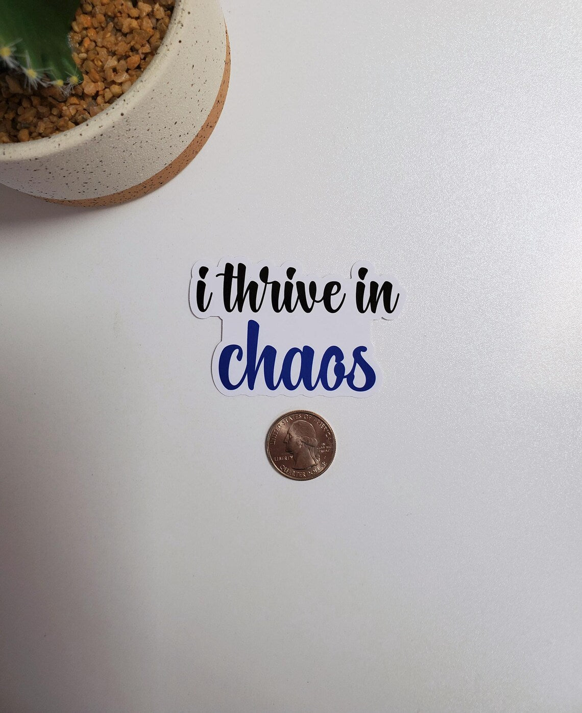 I Thrive in Chaos Text Sticker