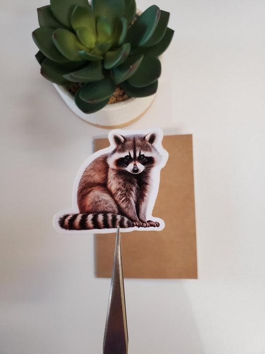 Raccoon Vinyl Sticker