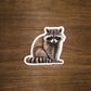 Raccoon Vinyl Sticker