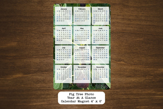 Fig Tree Photo Calendar Magnet 4" x 6"