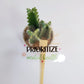 Prioritize Mental Health Vinyl Sticker | Mental Health Sticker | Die Cut, Clear Transparent Vinyl