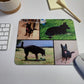 Custom Photo Collage Mouse Pad