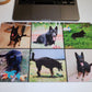 Custom Photo Collage Desk Mat 16 x 10