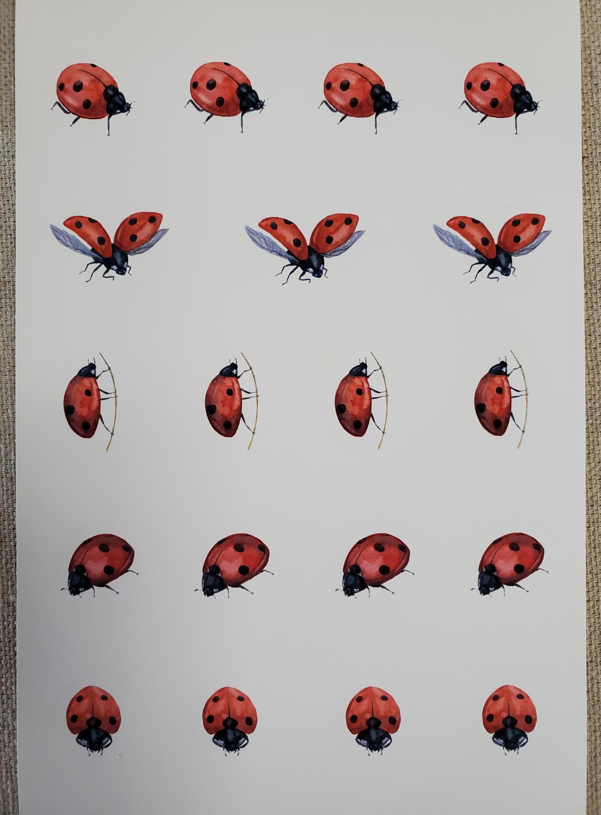 Ladybugs Sticker Sheet