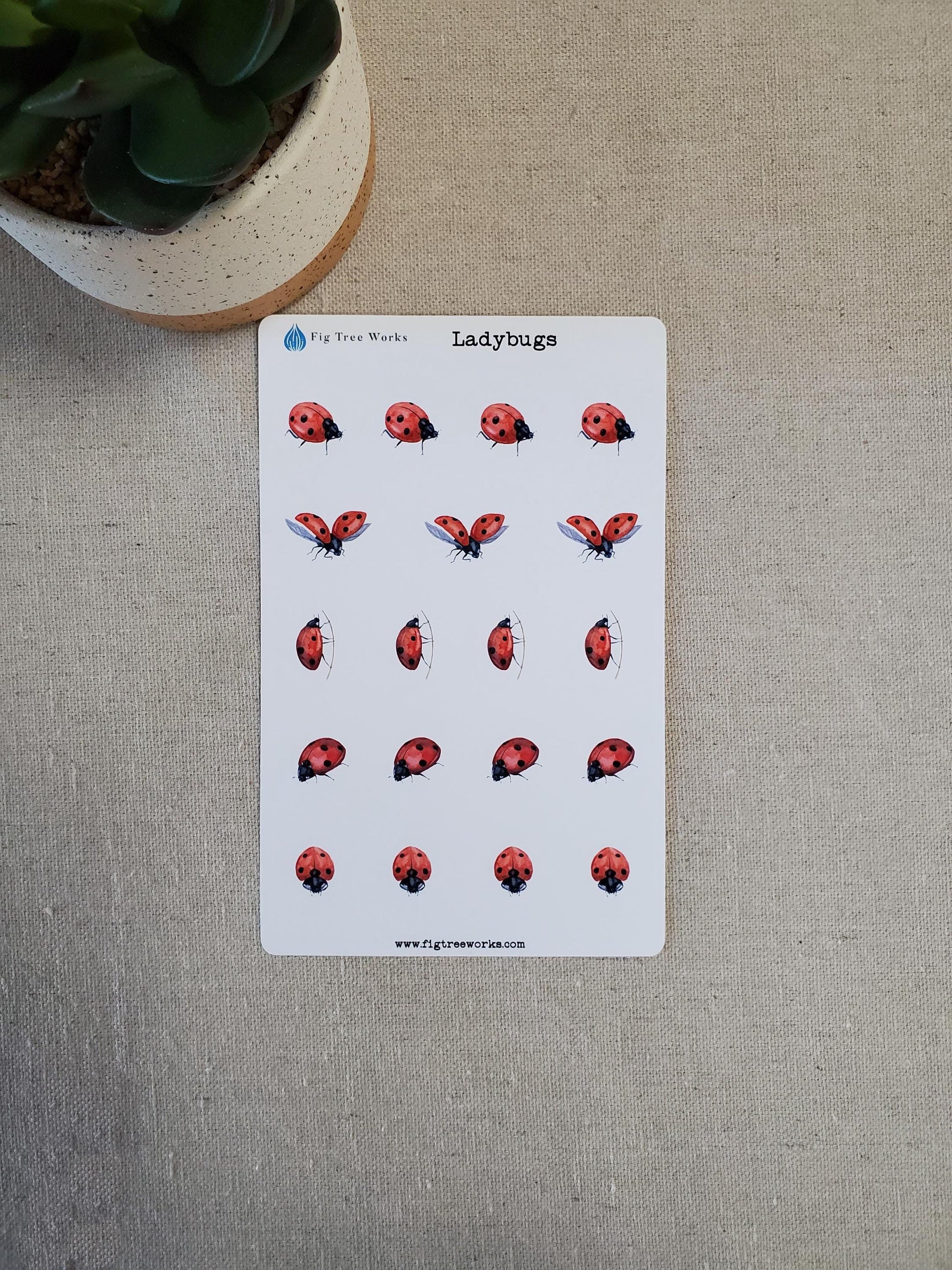 Ladybugs Sticker Sheet