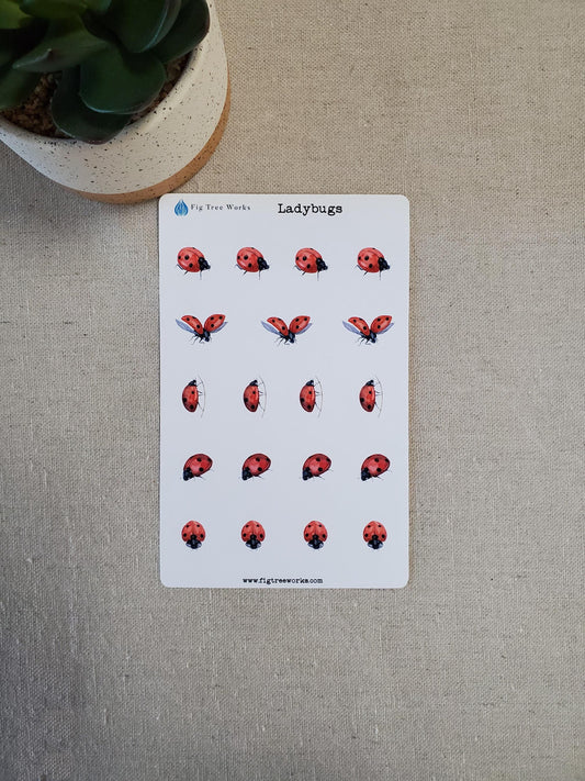 Ladybugs Sticker Sheet