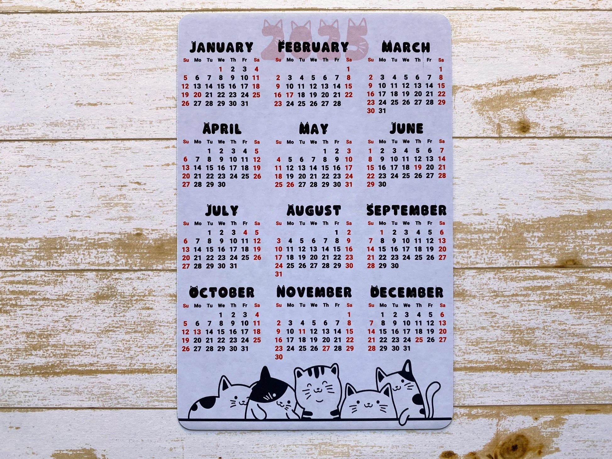 Cat Lover Calendar Magnet 4" x 6" Start On Any Month | 2025, 2026, or 2027 Year at a Glance | Magnet Calendar for Fridge | Glossy Finish