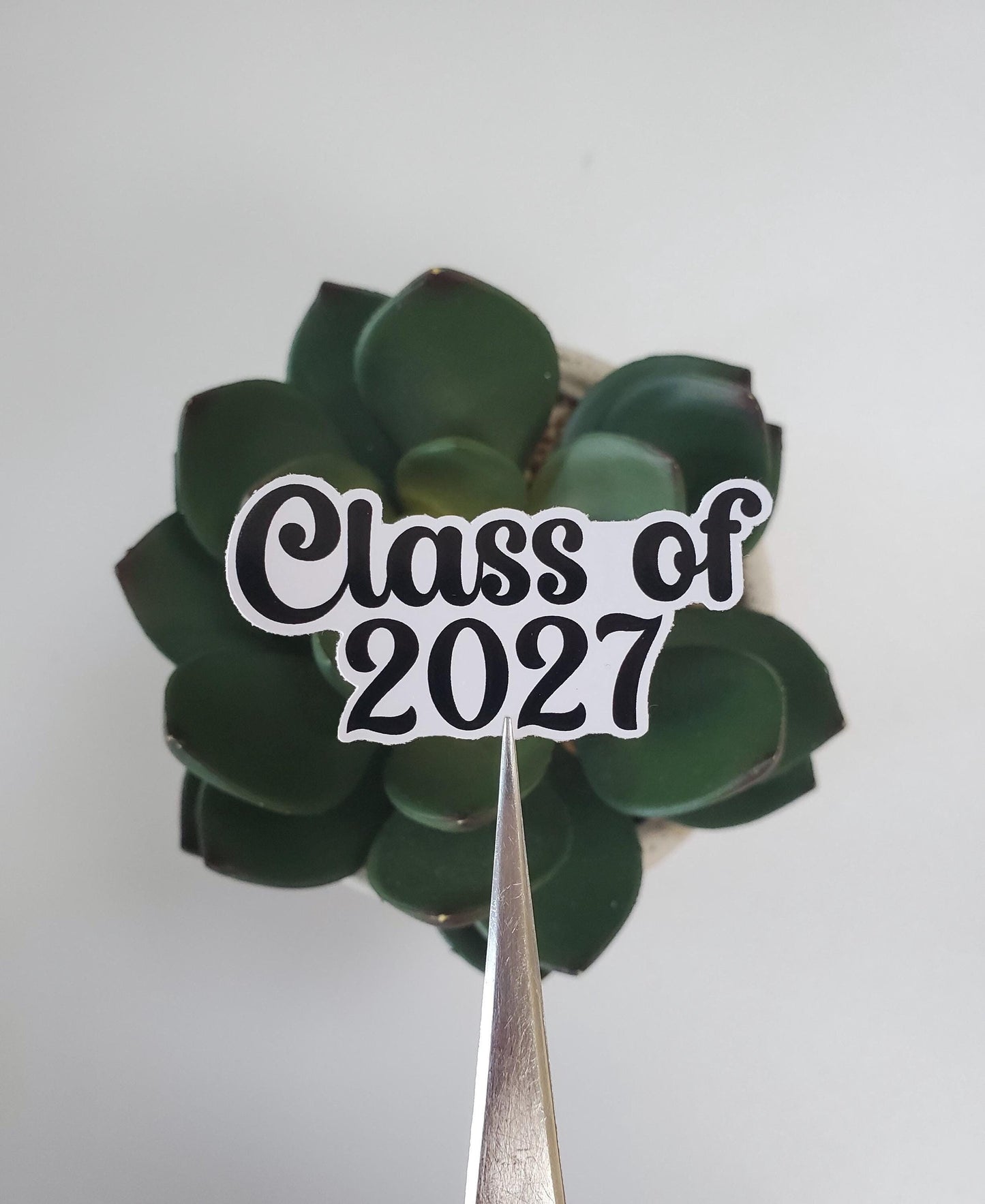 Class of 2027 Sticker | Choose a Color | Graduation Gifts | Seniors 2027 | Die Cut Sticker