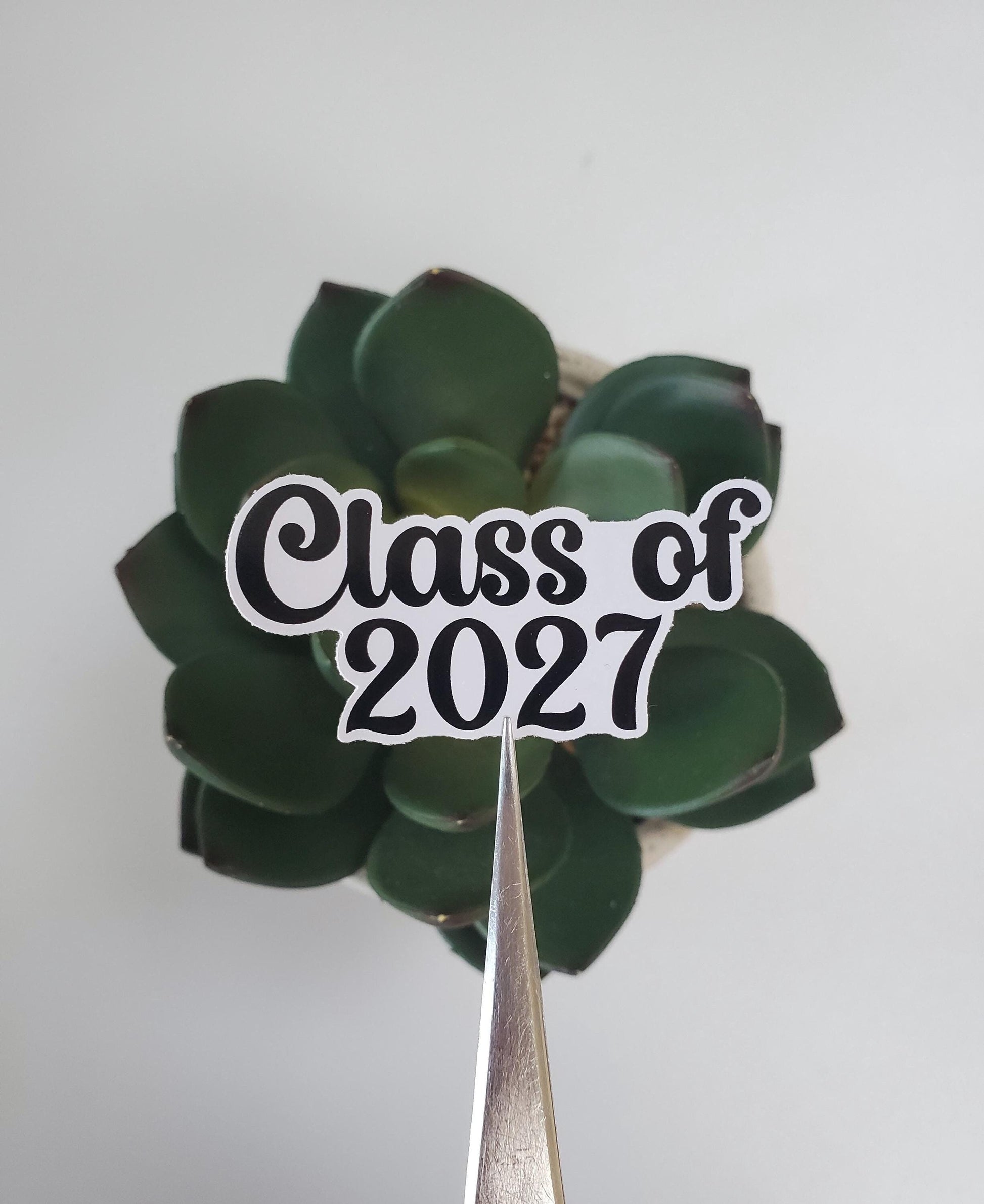 Class of 2027 Sticker | Choose a Color | Graduation Gifts | Seniors 2027 | Die Cut Sticker