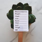 Body Measurement Tracker Stickers for Planners, Journals and Agendas | Fitness Exercise Stickers | Matte Finish