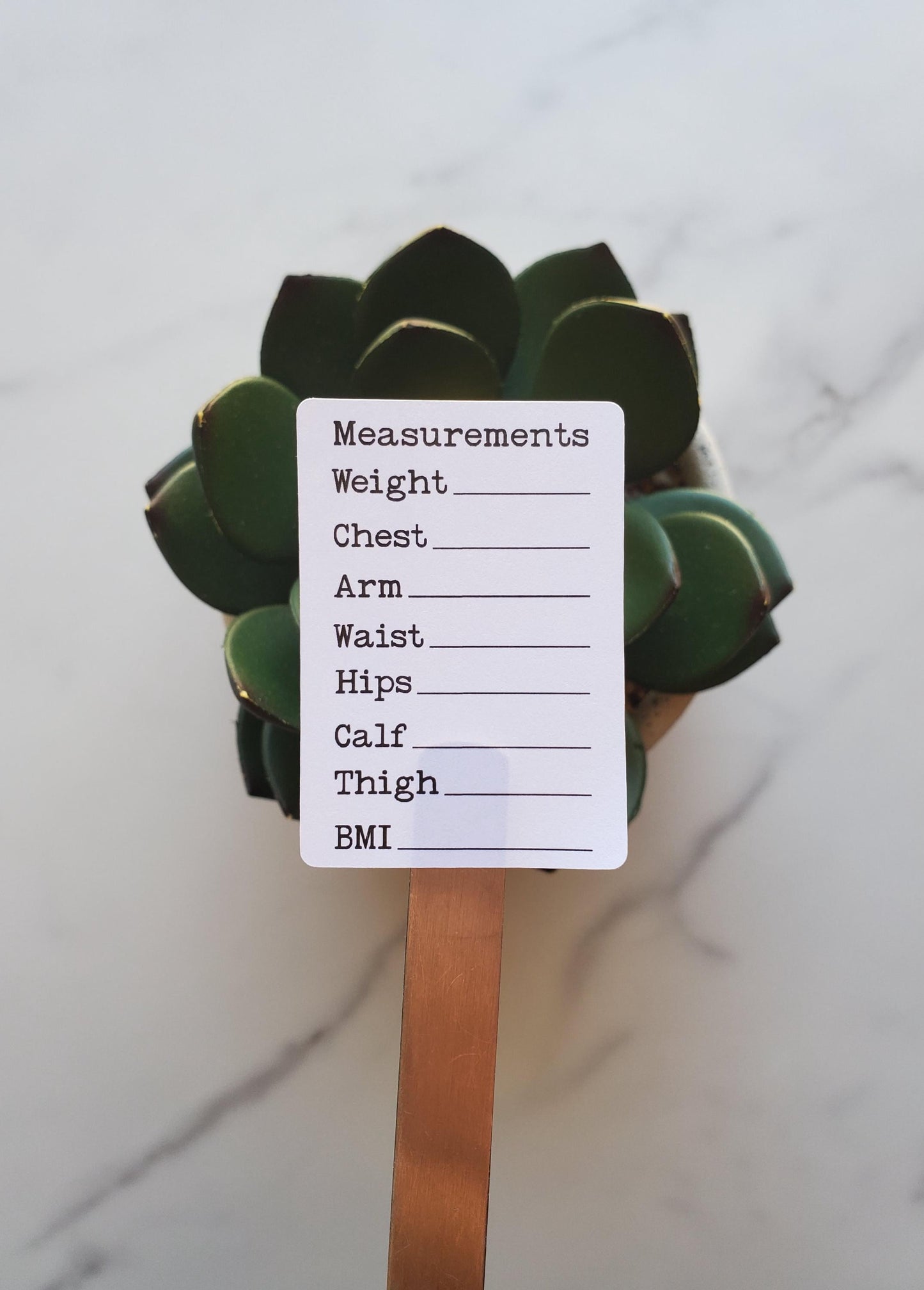 Body Measurement Tracker Stickers for Planners, Journals and Agendas | Fitness Exercise Stickers | Matte Finish