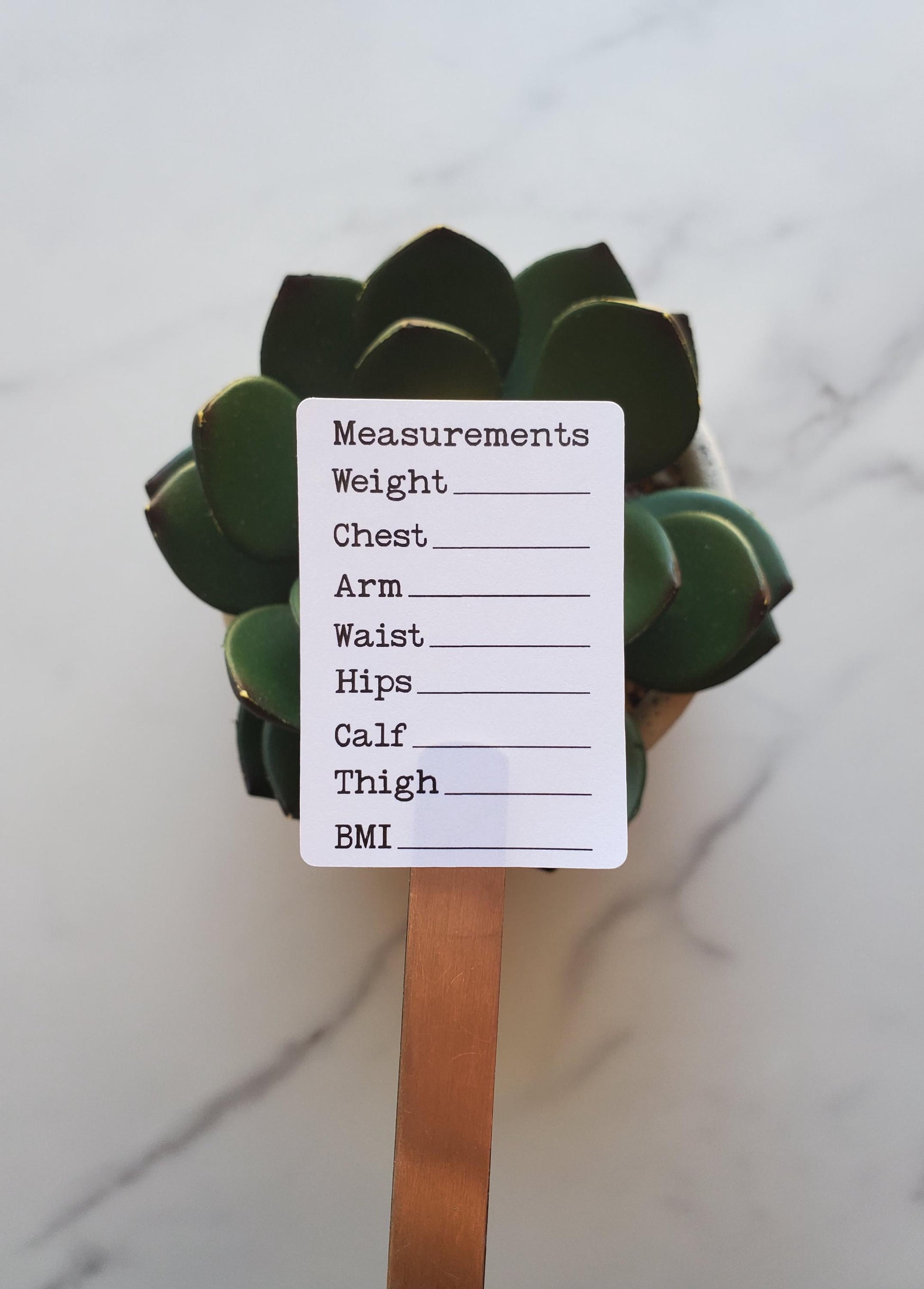 Body Measurement Tracker Stickers for Planners, Journals and Agendas | Fitness Exercise Stickers | Matte Finish