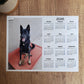 Custom Photo Year At A Glance Landscape Calendar | Start On Any Month | 11" x 8.5" | Printed and shipped to your home