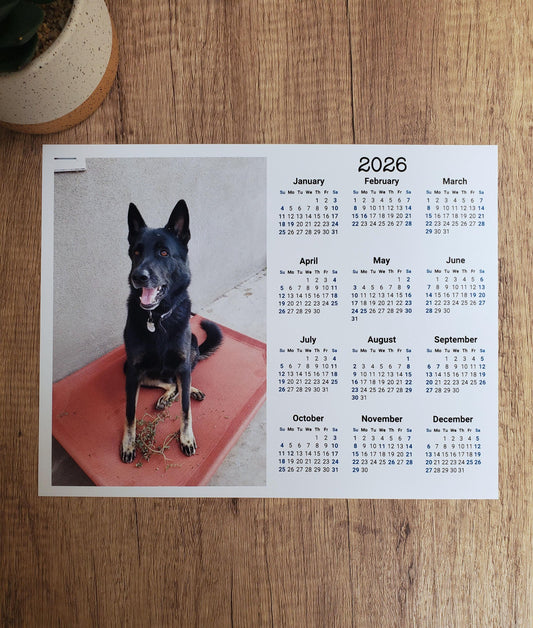 Custom Photo Year At A Glance Landscape Calendar | Start On Any Month | 11" x 8.5" | Printed and shipped to your home