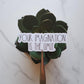 Your Imagination is the Limit Vinyl Sticker