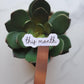 This Month Text Script Stickers