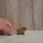 Capybara Flexible 3D Printed Keychain
