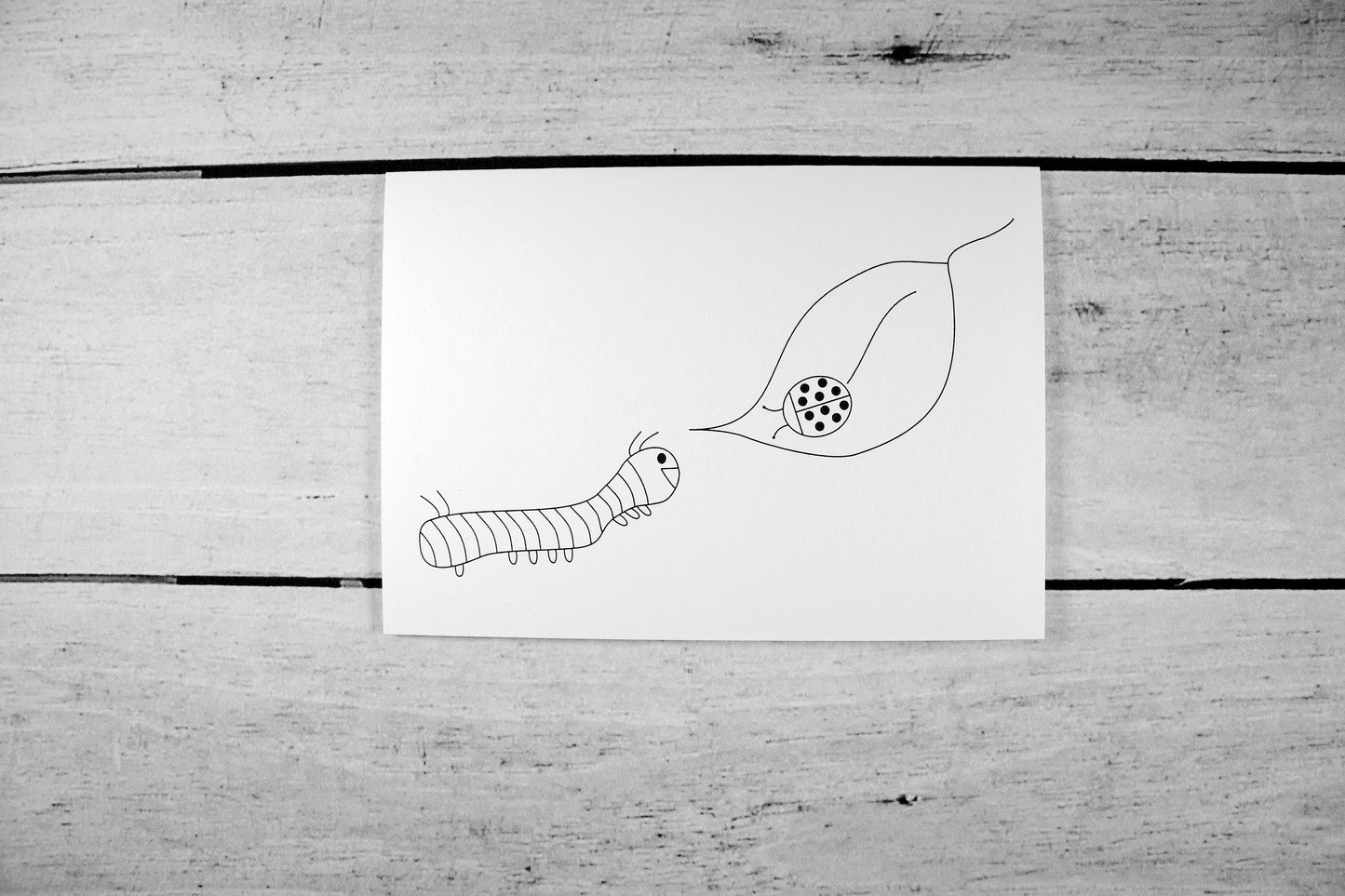 Caterpillar and Ladybug Greeting Card