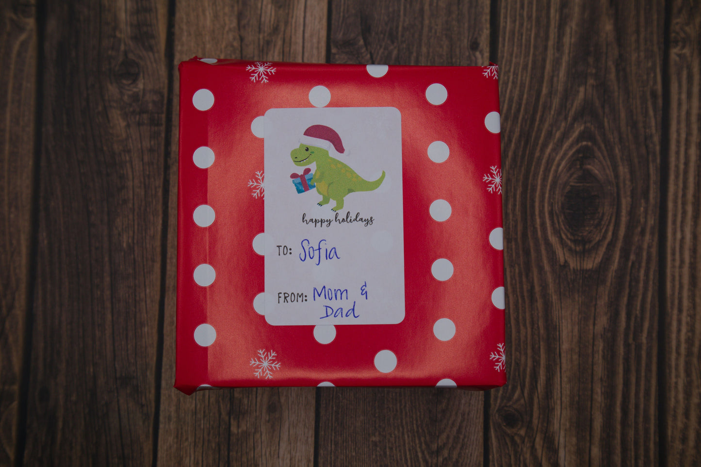 Dinosaur Christmas Labels | Holiday Gift Tags | Dinosaur Present To From Stickers