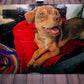 Small Custom Photo Puzzle | Personalized Jigsaw Cardboard Puzzle | 48 or 28 Pieces