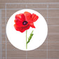 Watercolor Flower Round Stickers, Envelope Seals, Gift Wrap Stickers,  2" Circle Stickers | Set of 9