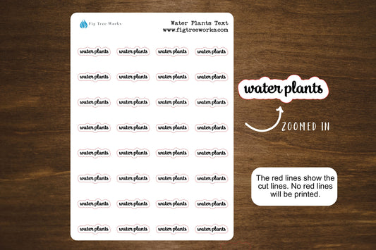 Water Plants Script Stickers | Water Plants Text | Kiss Cut, Matte Finish for Planners, Journals, and Notebooks | Mini Scripts